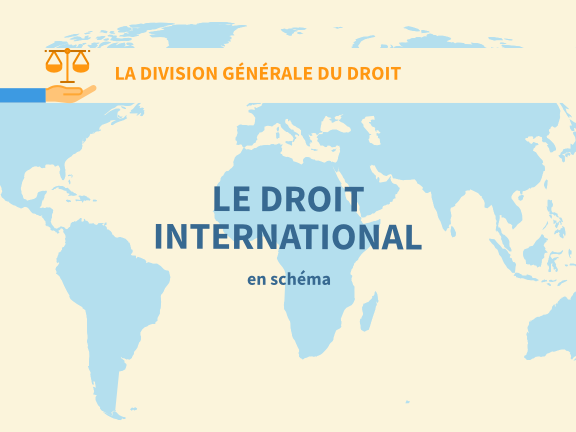 Le Droit International Le Droit En Sch mas Par In s Stanojevic